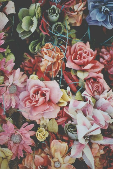 monicagustrina's profile banner image