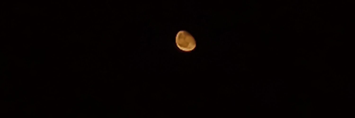 mocoon00's profile banner image