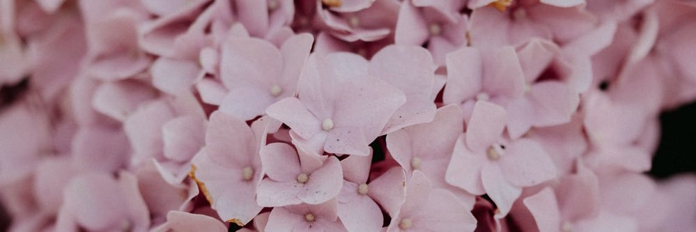 lady_grem's profile banner image