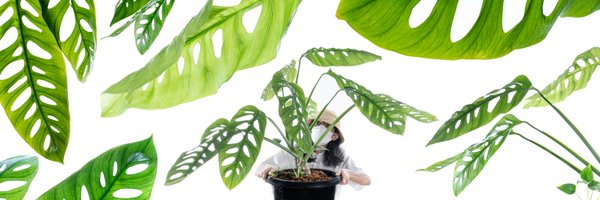 roni_az Profile Banner