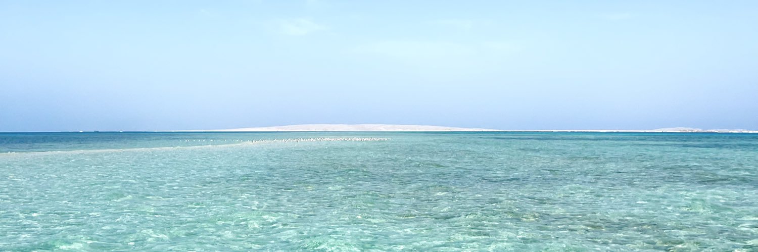 camilleb_c's profile banner image