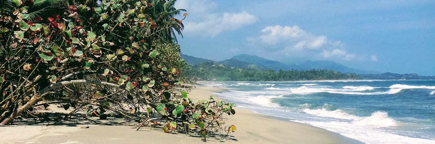 ulaulaau's profile banner image