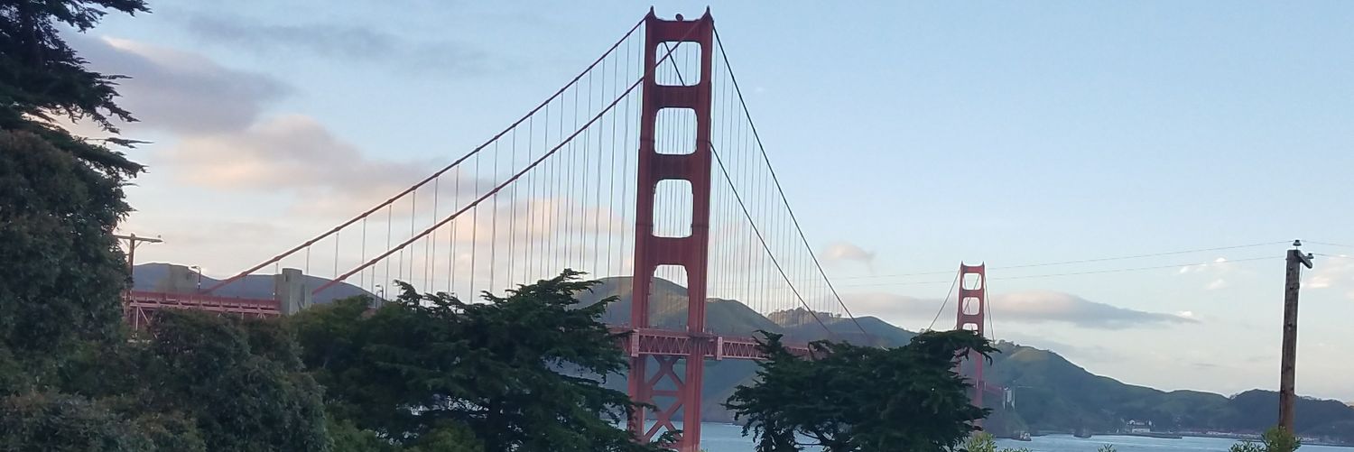 nenaldm's profile banner image