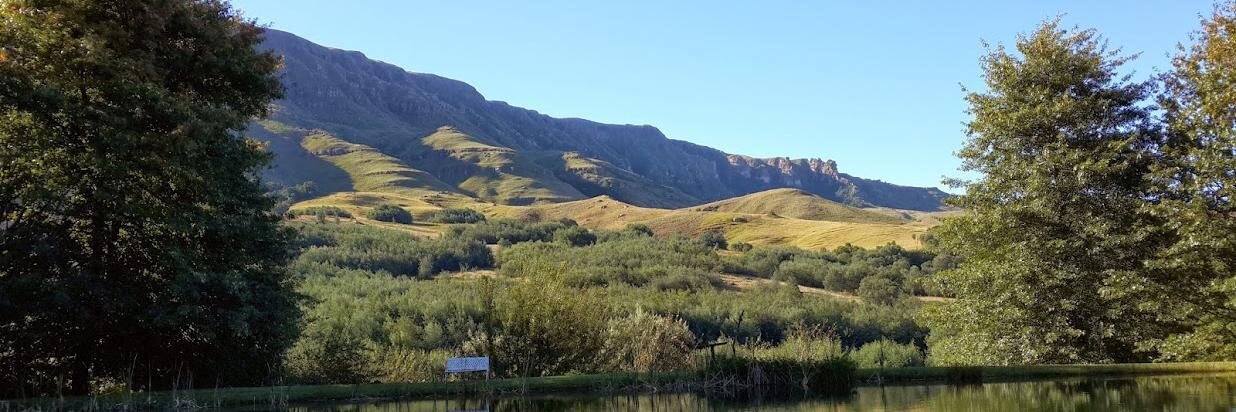 Jonathan Houston banner