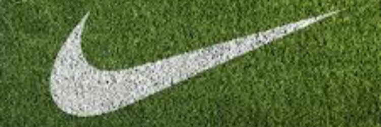 Ryan banner