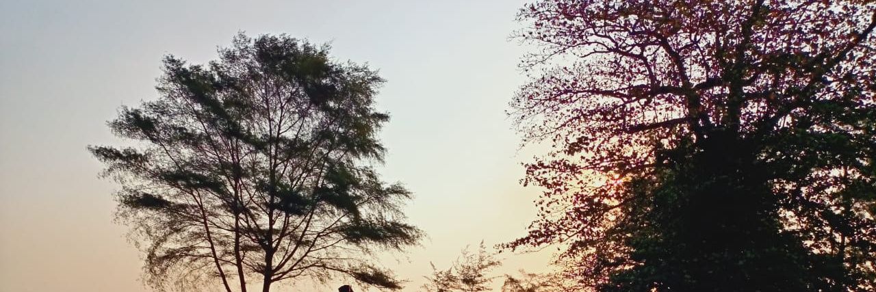 Rian_mata's profile banner image