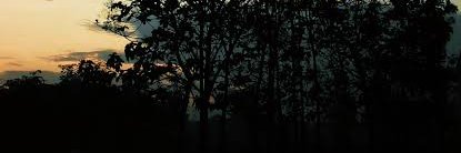 stevearum's profile banner image