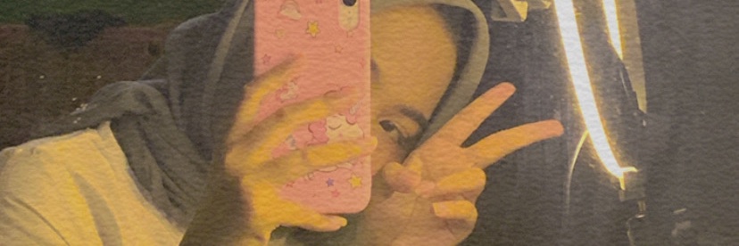 Brielyaneri's profile banner image