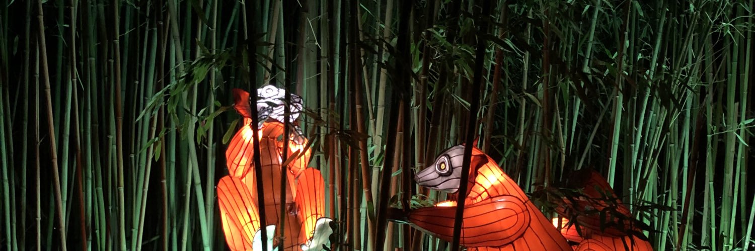 Lamboshark's profile banner image