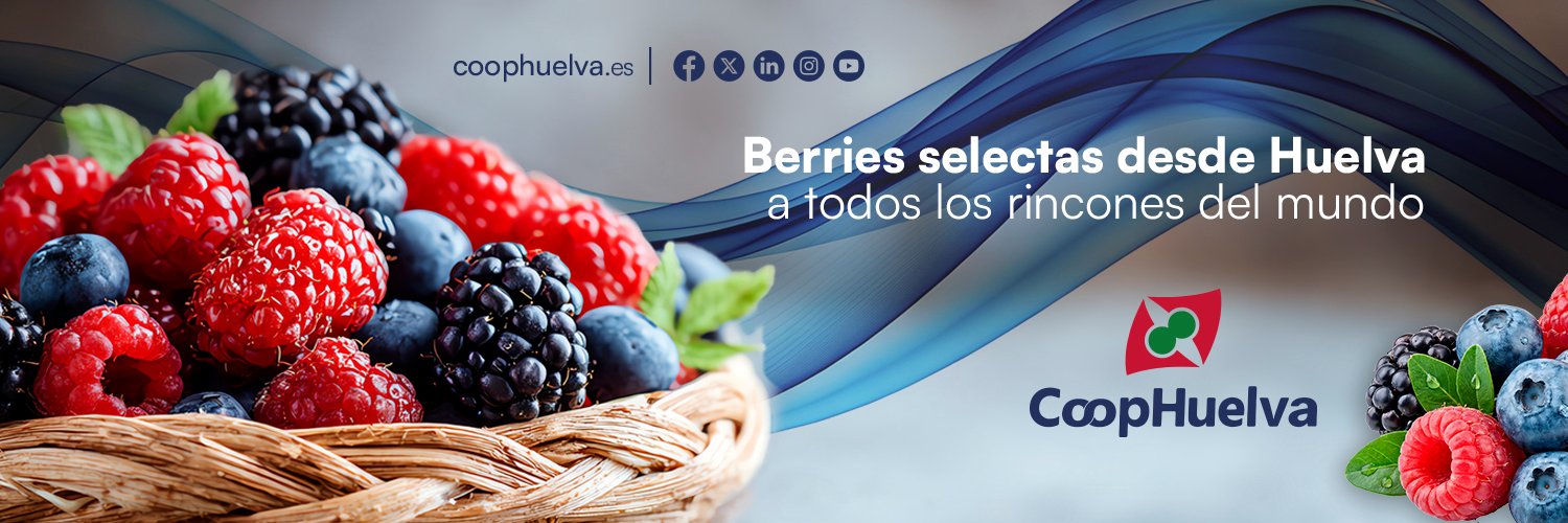coophuelva.es banner