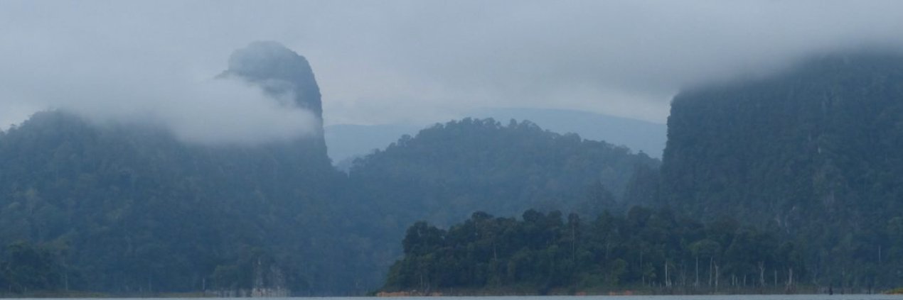 Rimba banner