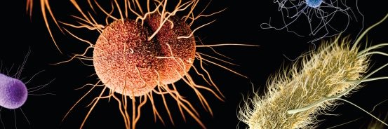 TheMicroLabGuy's profile banner image