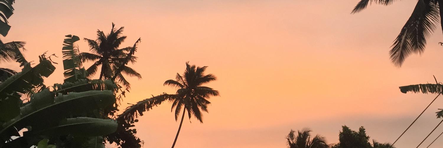 stickeeinho's profile banner image
