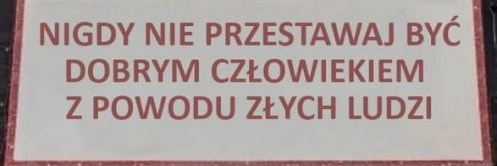 L_Federowicz's profile banner image