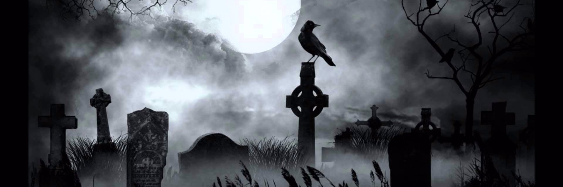 🖤 Rayne Storm 🖤 banner