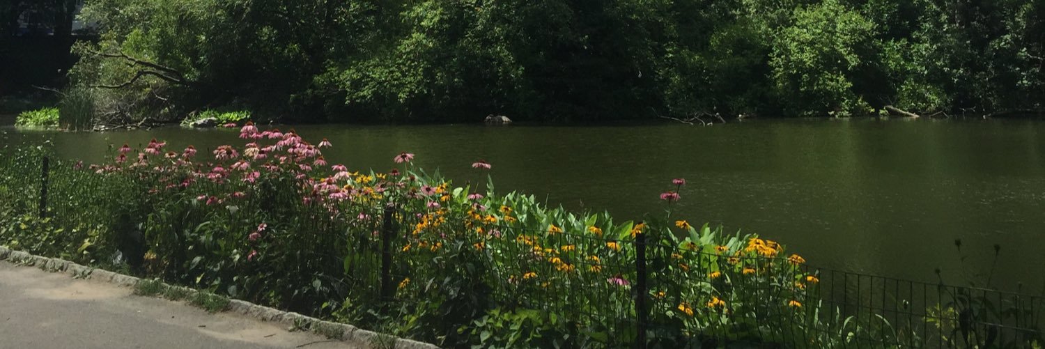 kmccarney15's profile banner image