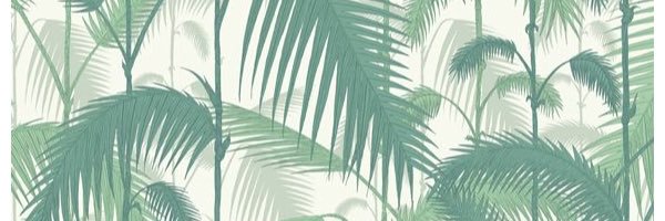 EParutchero's profile banner image