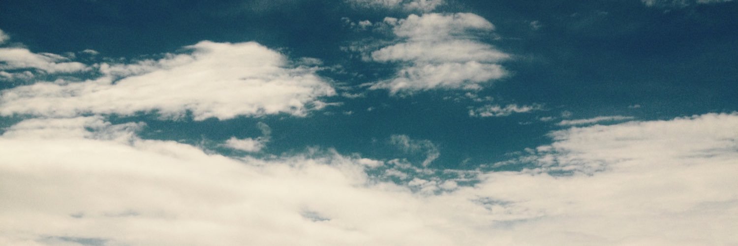 santuz929's profile banner image