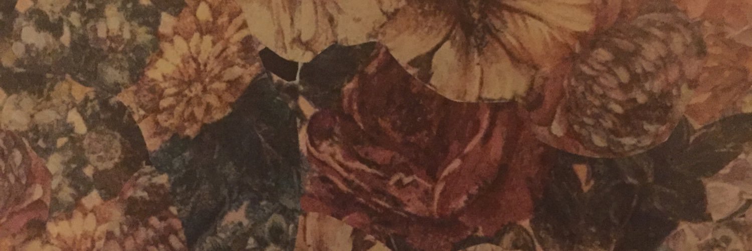 xoLenileinxo's profile banner image