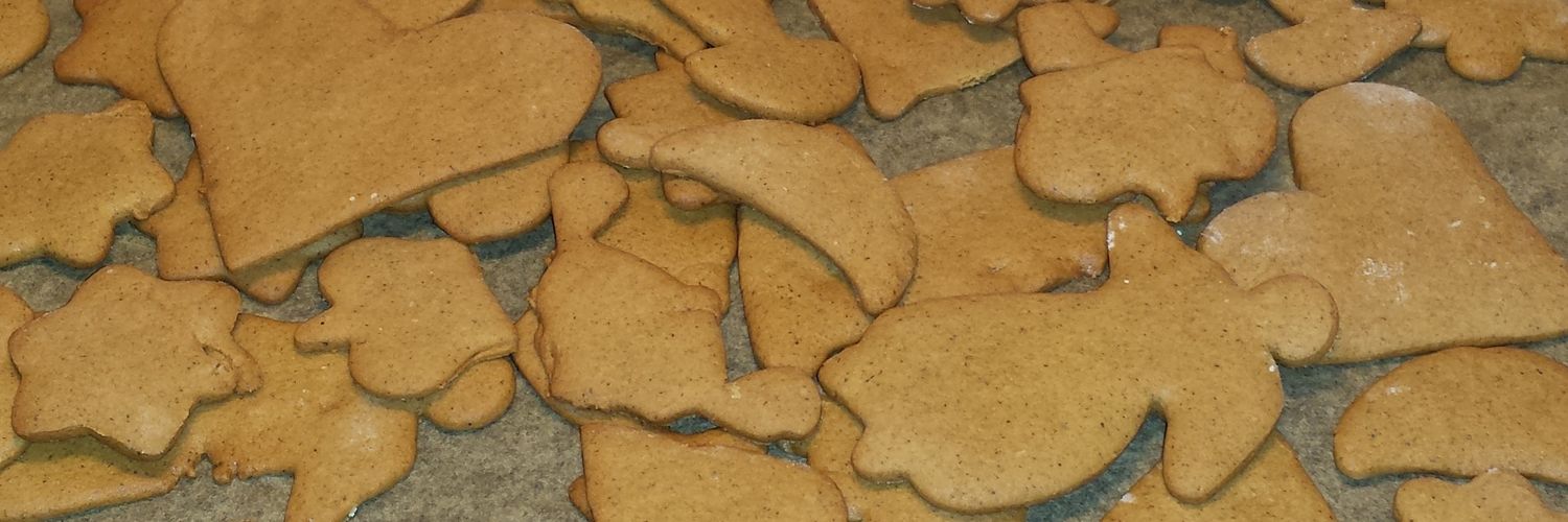 Fredrik Holmeros banner