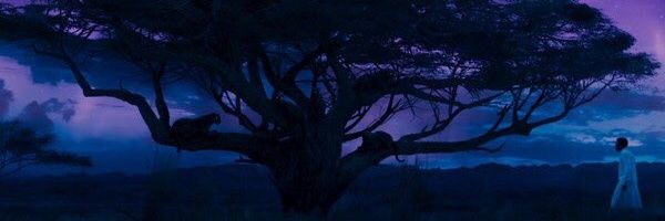 davidfoxxrocks's profile banner image