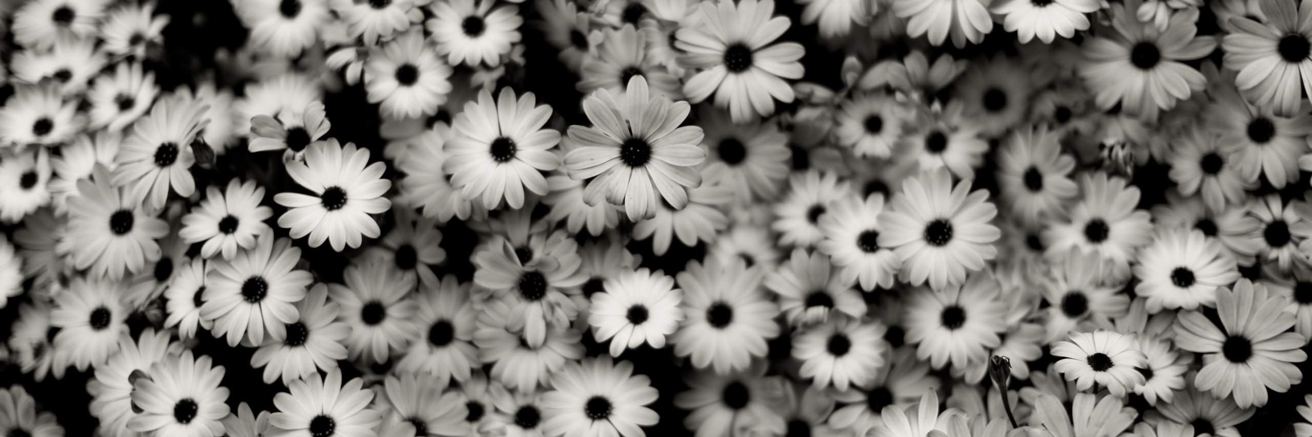 _sharry__'s profile banner image