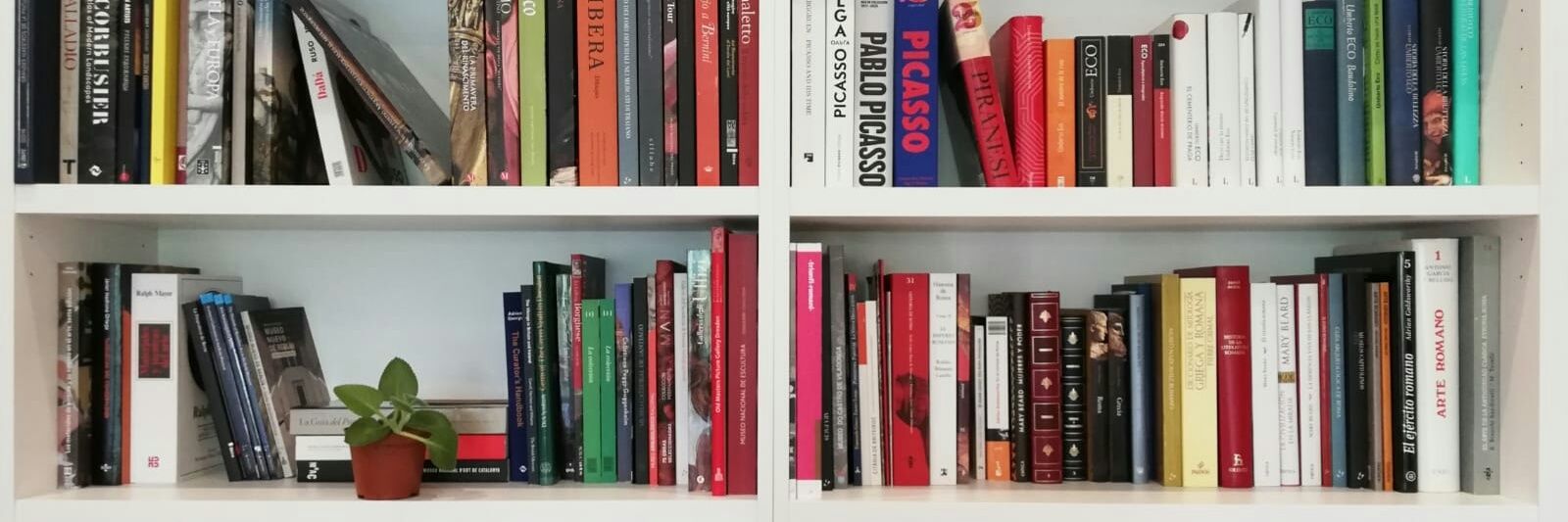 Adriana Cousillas banner