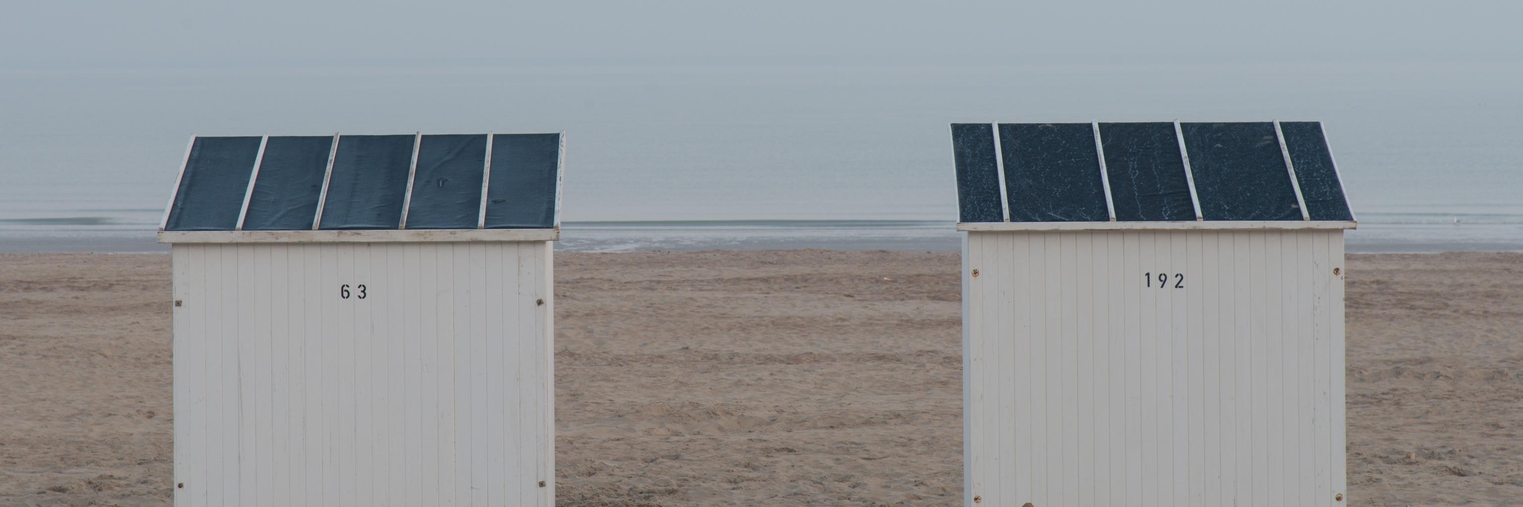 Martin Francis banner
