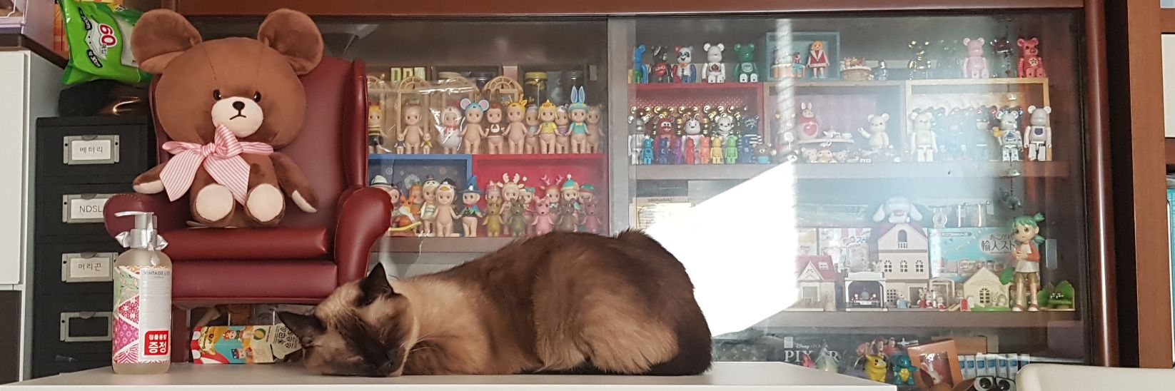 tabitoyroom's profile banner image