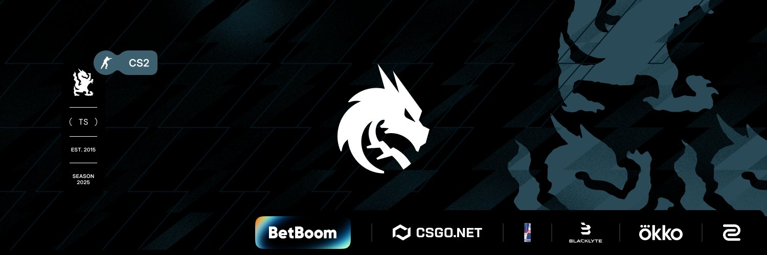 Team Spirit CS2's banner