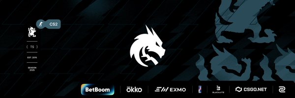Team__Spirit Profile Banner