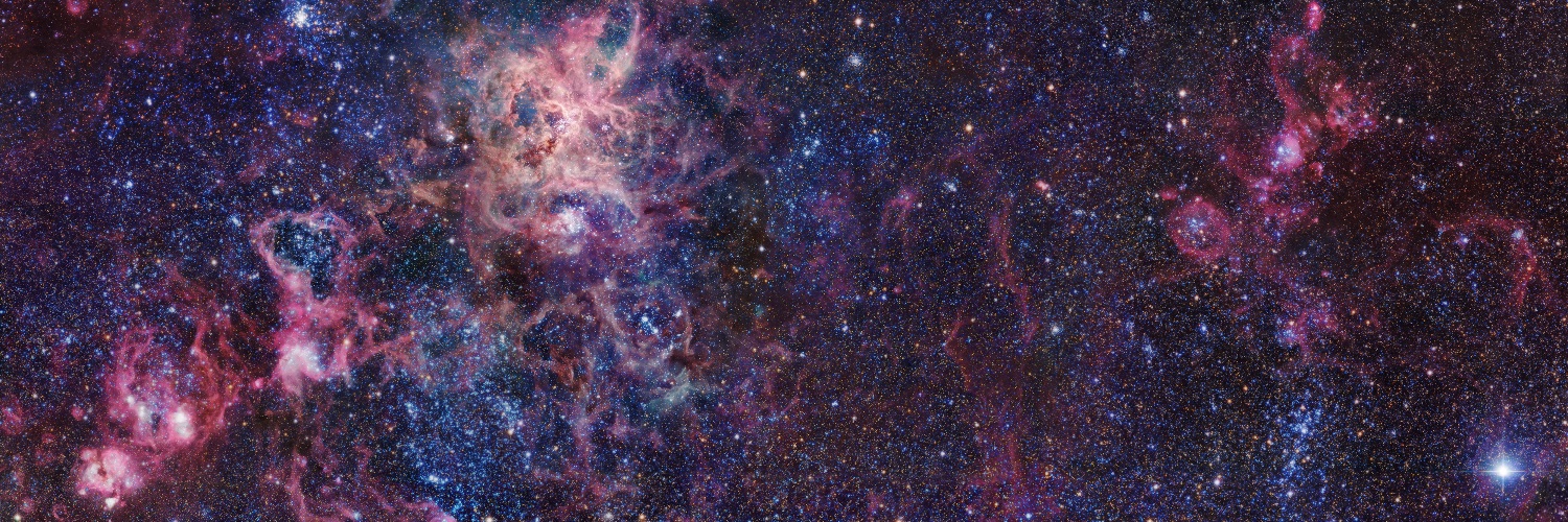 FuchsiariusToo's profile banner image