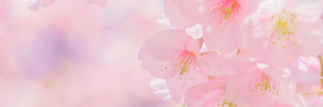 mai__fl's profile banner image