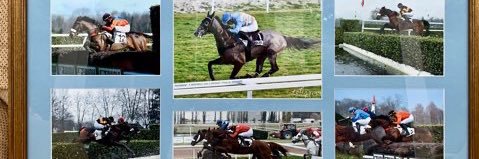 Freddie Mitchell banner