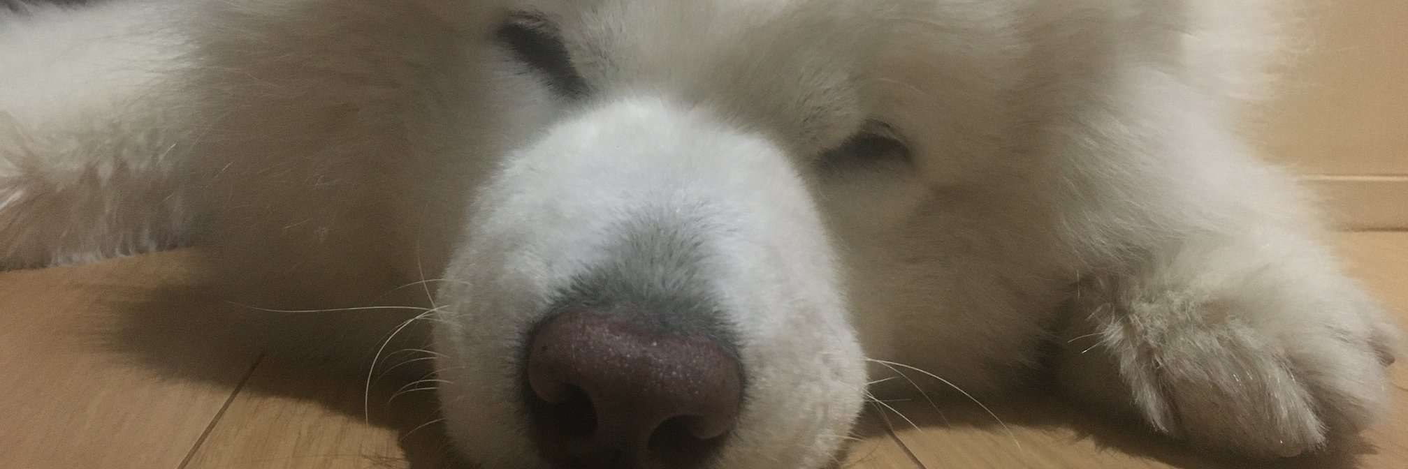 2o_0_o2's profile banner image