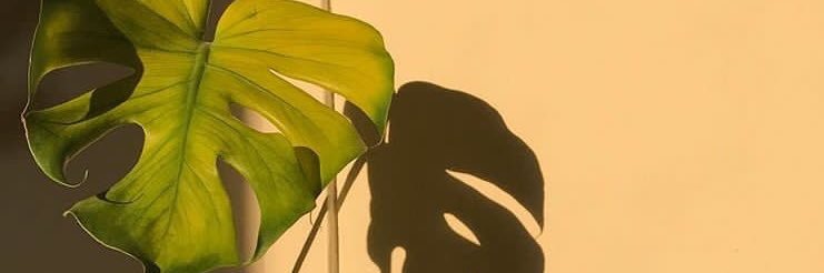 ayemrapunzel's profile banner image
