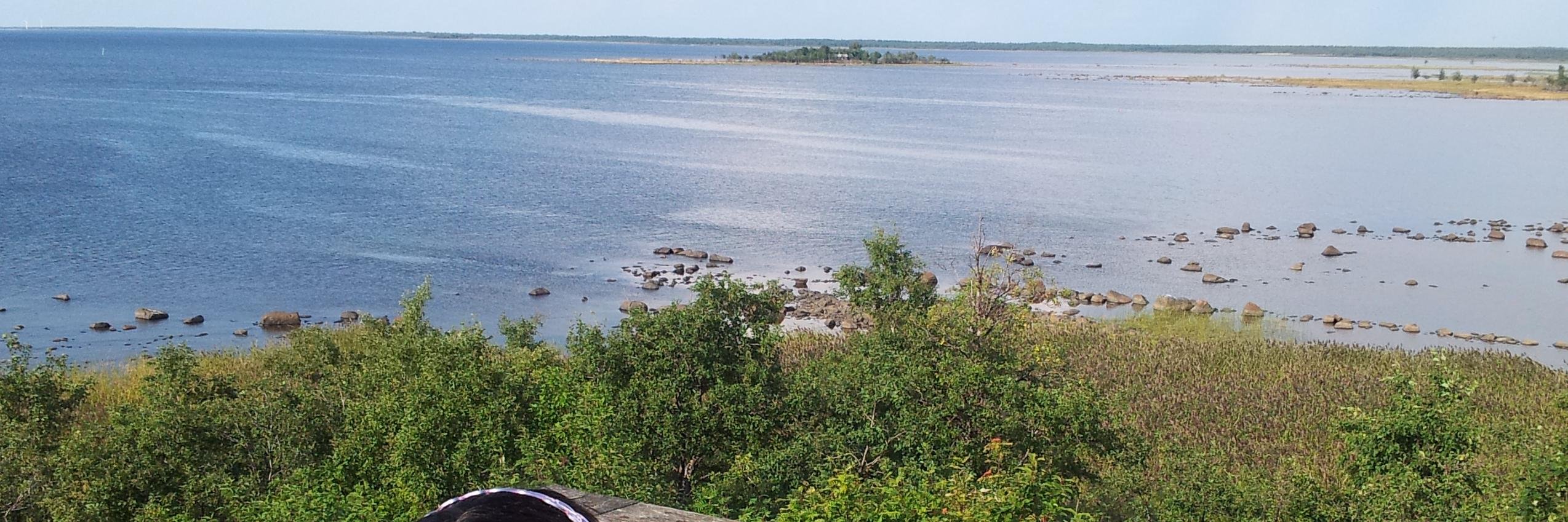 MariaIsolahti's profile banner image