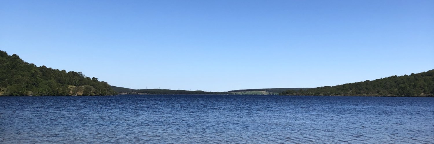 Anna Shimmield banner