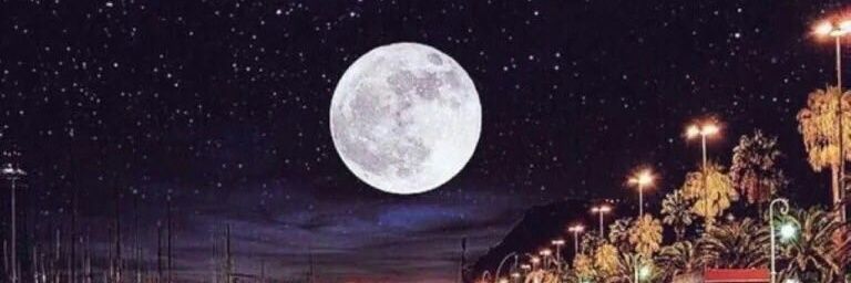 safo banner