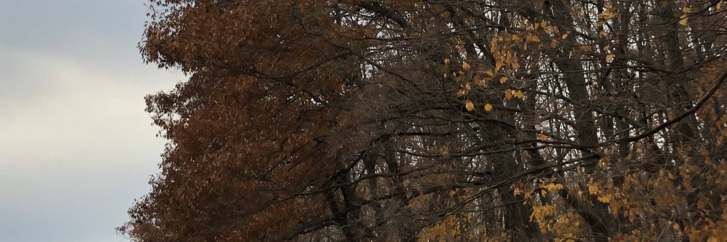 jake_delano's profile banner image