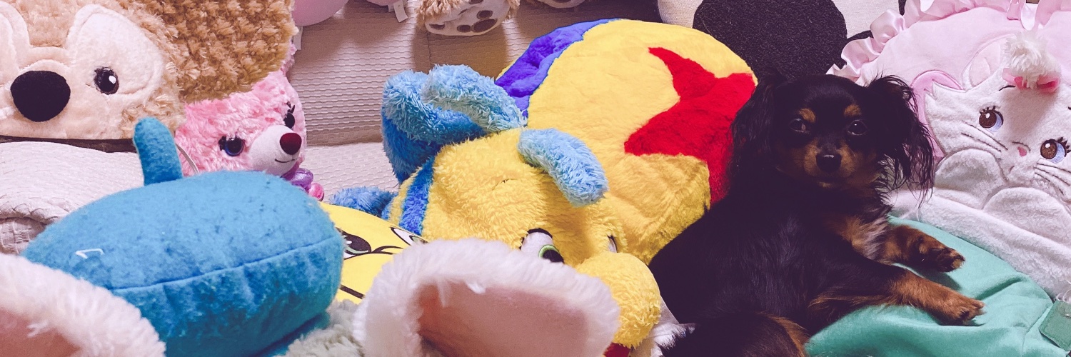 __kobito's profile banner image
