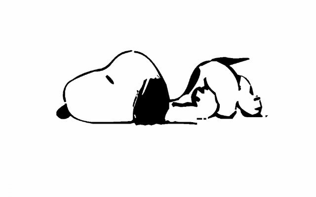 merry_ella's profile banner image