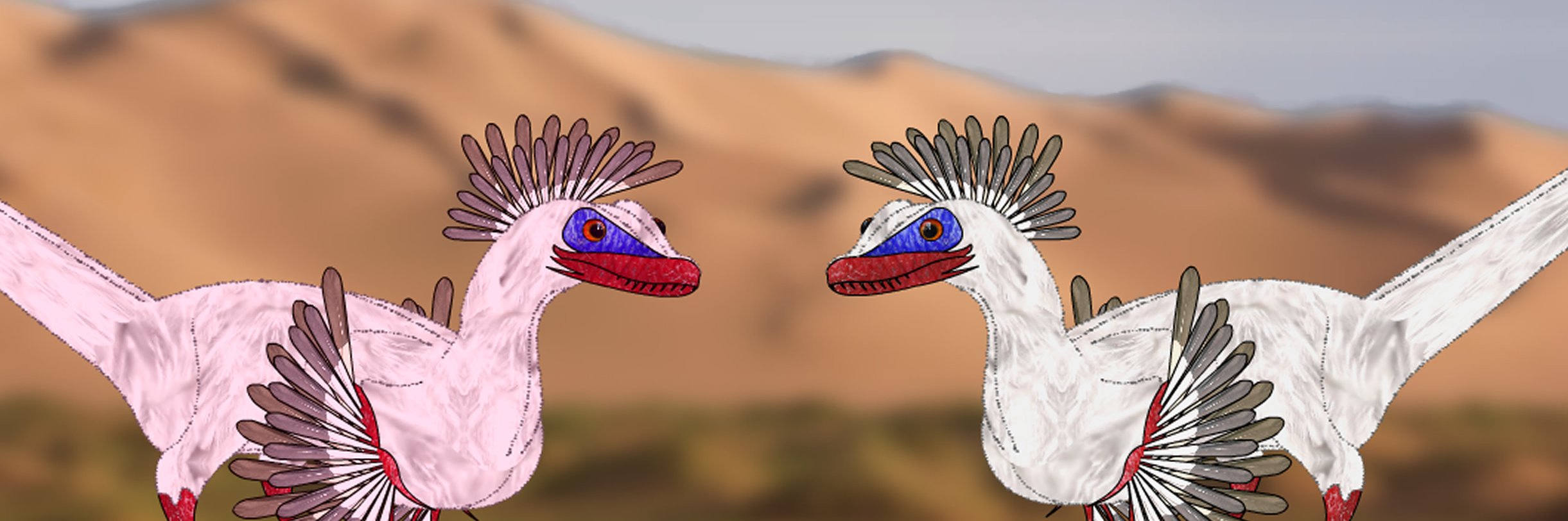 MilesImhoff's profile banner image