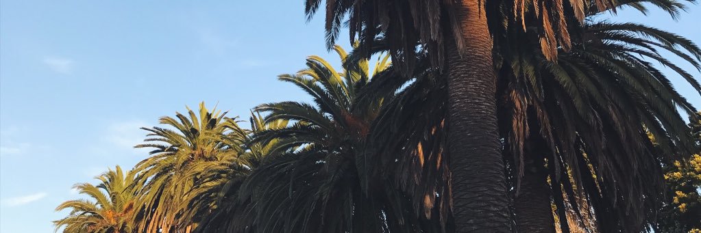 januaryway_'s profile banner image