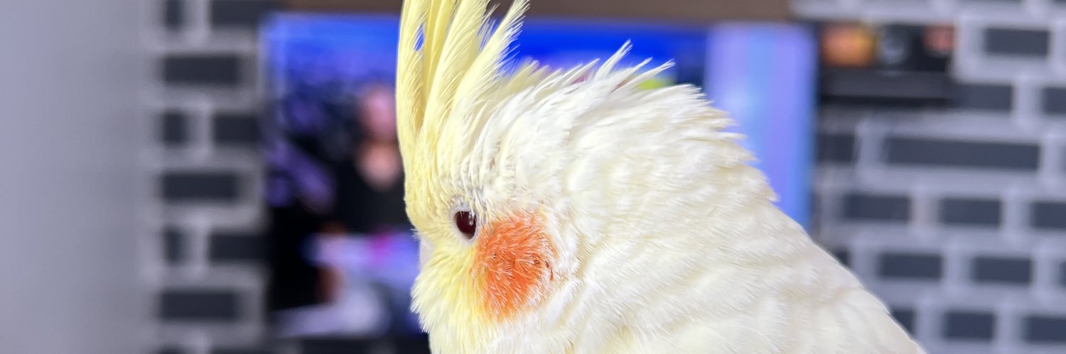 NaldoCMT's profile banner image