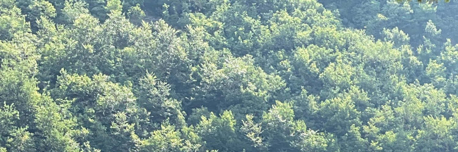 marco_ciampini's profile banner image