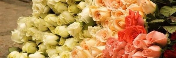 ulybo4ka Profile Banner