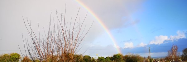 iangalldorset Profile Banner