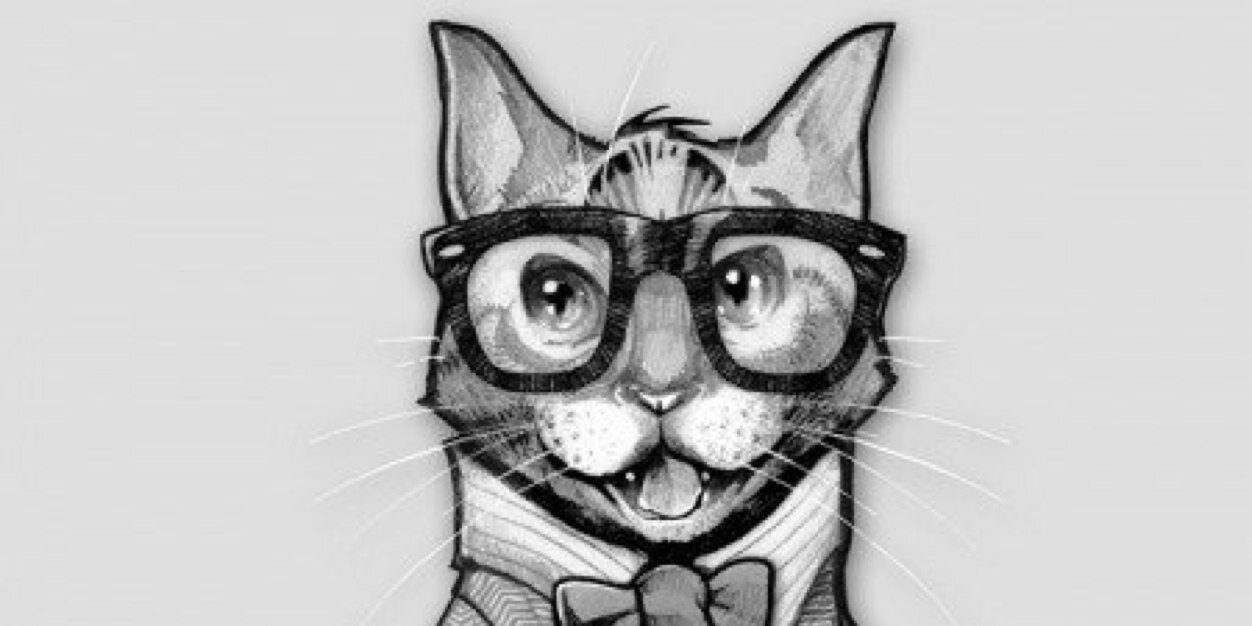 Kindcat's profile banner image