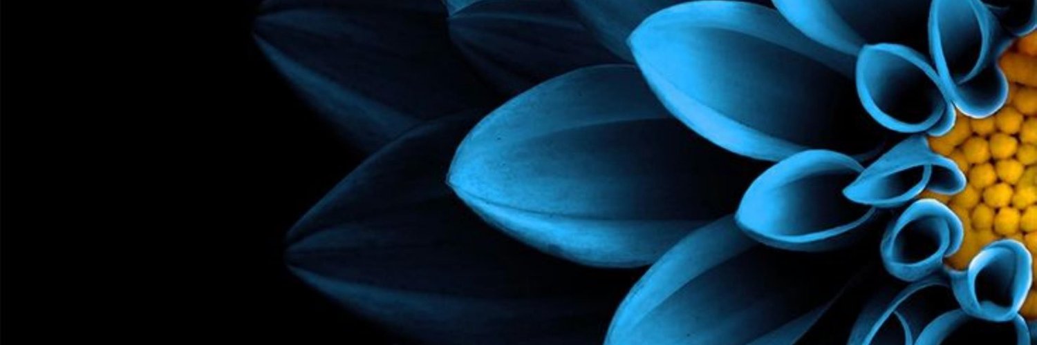 SKisLive's profile banner image
